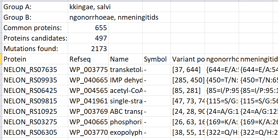 csv report